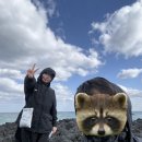 해뜨는 성 | 통통수박이의 제주여행 1일차(돌하르방식당,함덕해변,해뜨는성,비밀횟집)