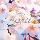 오토블링 이미지