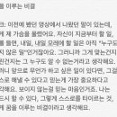 미디어팔레트