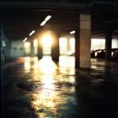 세로공인중개사사무소 이미지