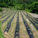 베리하우스 이미지