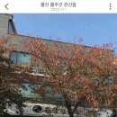 온산한의원 네이버블로그