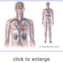 고혈압(hypertension) 이미지