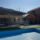 트리풀하우스 | 경기도 포천 글램핑 추천 - "트리풀하우스 글램핑, 풀빌라", 수영장 있는 글램핑, 애견 동반 글램핑