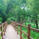 쌍곡폭포펜션 이미지