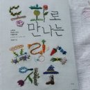 박성희아뜰리에 네이버블로그