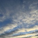 말봉바다낚시터 | 대부도 낚시터 추천 :: 말봉바다낚시터 방문 후기