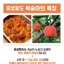 호야네농장 이미지