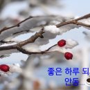 미스터팡팡