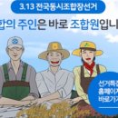 합천새남부농업협동조합 | 조합장 선거 결과 [경남지역 당선인 현황]