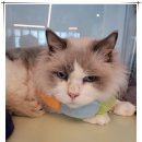 아이조아 요양보호소 경기광주 이미지