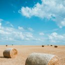 구천동한의원 이미지