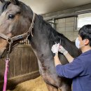 사산축산 이미지