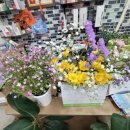 수정헤어샵 이미지