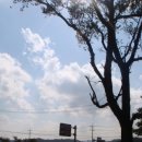 고려생화학 이미지