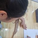 선사랑 놀자 이미지