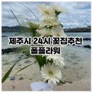 제주24시꽃집 폴플라워 만삭촬영 꽃다발 후기