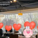 31140-9-82-2 | [3월 29일] 벚꽃날리는 날~ 울산 직장인 소개팅 후기 (+블러썸 커플 성사 이야기)