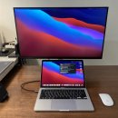 서재 흰둥이네 이미지