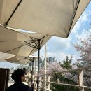마포-염리-마포-241 | [서울] 마포 공덕 대흥역 경의선숲길 루프탑 테라스카페 파크사이드 주차 애견동반가능 벚꽃후기