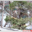 동부8길 이미지