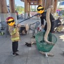 동창천주차장(의용소방대옆) | 경북 축제:) 안아드림 페스티벌