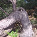 황정리 대흥사 앞 이미지