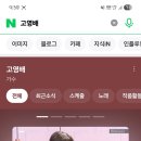 채리나미용실