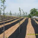 이팝농장 이미지