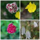 산너울가든 | 용인 산_조비산/정배산/달기봉/구봉산/석술암산 (용인등산)