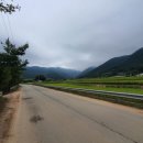 서면행정복지센터 화장실 이미지