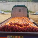 부산글로벌테크비즈센터 이미지