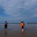 신안자연휴양림 이미지