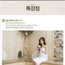 in(인)네일