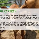 중동법무사사무소 이미지