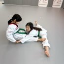 한국체대 신곡태권도 이미지