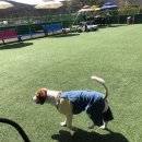 개스타하우스 이미지