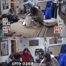 삼시세끼푸드 이미지