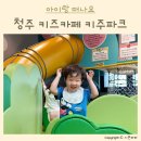 도도리파크(실내) | 세종 아기랑 실내놀이터 조치원 도도리파크 방문 후기