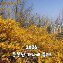 개나리어린이공원 | 응봉산 개나리 축제 후기 가는법 주차 아기랑 가기 전 필독