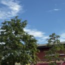 산에산에 오리주물럭 | [여주] 신세계프리미엄아울렛 맛집 산에산에 오리주물럭 여주본점 내돈내산 솔직후기