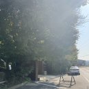 포레스트 | 천안 목천 데이트 추천 맛집 파고다 포레스트 후기