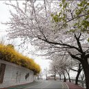 수양미장원