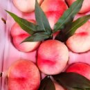 하늘사랑농원 이미지