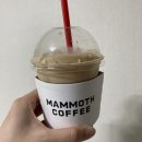 매머드익스프레스구리역점