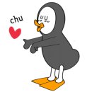 세종프리다이빙