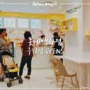 팜투베이비(롯데백화점 구리점)
