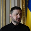 pet 10라 3194 이미지