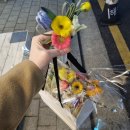 홍나영뷰티샵 | [웨딩*7] 줄리의 정원 웨딩촬영, 레이앤코 드레스, 라메종뷰티 헤어 메이크업, 해월화 생화부케