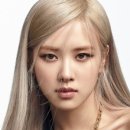 아웃라인